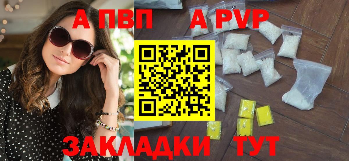 A PVP СК Новозыбков