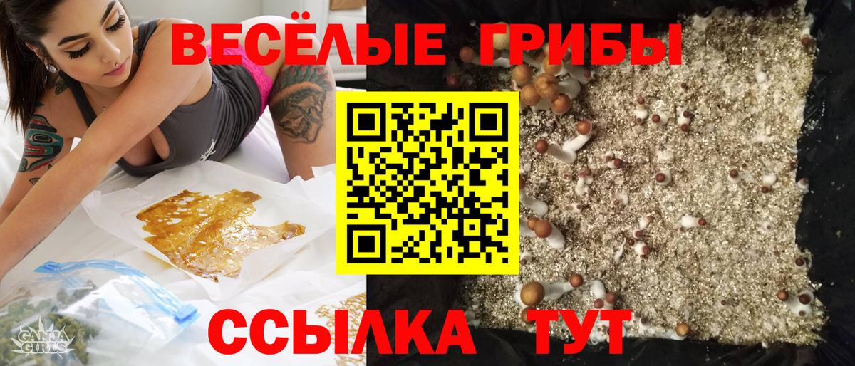 Псилоцибиновые грибы Magic Shrooms Новозыбков