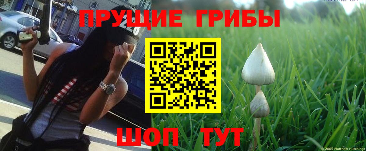 Галлюциногенные грибы Magic Shrooms  Вход с VPN  Новозыбков 