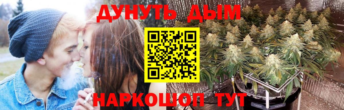 Бошки Шишки ГИДРОПОН  Вход с VPN  Бошки Шишки SATIVA & INDICA  Новозыбков  Бошки марихуана индика  Канабис LSD WEED 