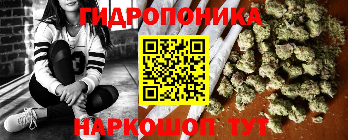Бошки Шишки Amnesia Новозыбков